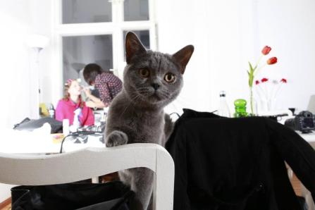 423645_3104594570870_880108400_n